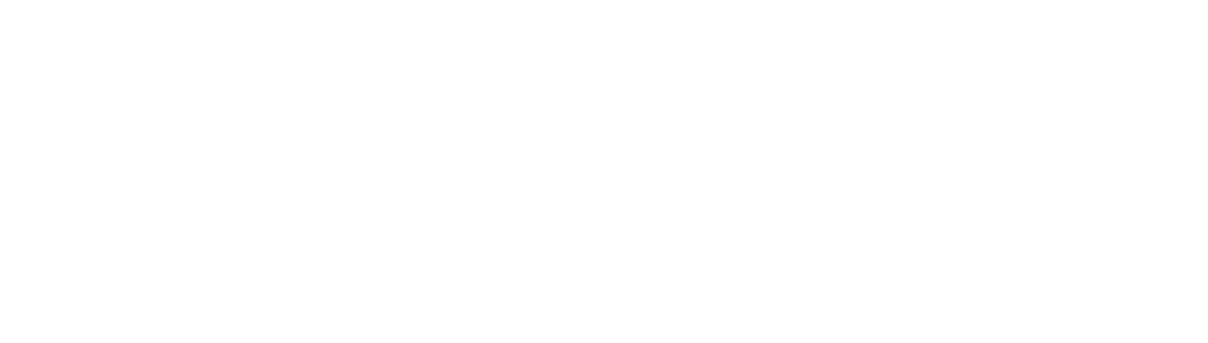 פספורט TV