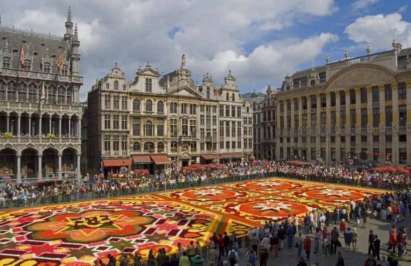 flower carpet in brussels view from the city council