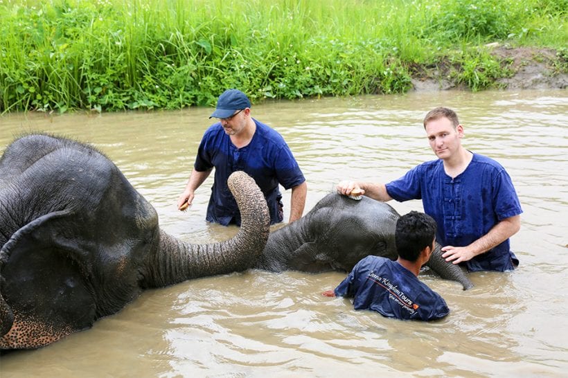 פעילות של המבקרים עם הפילים בשמורה