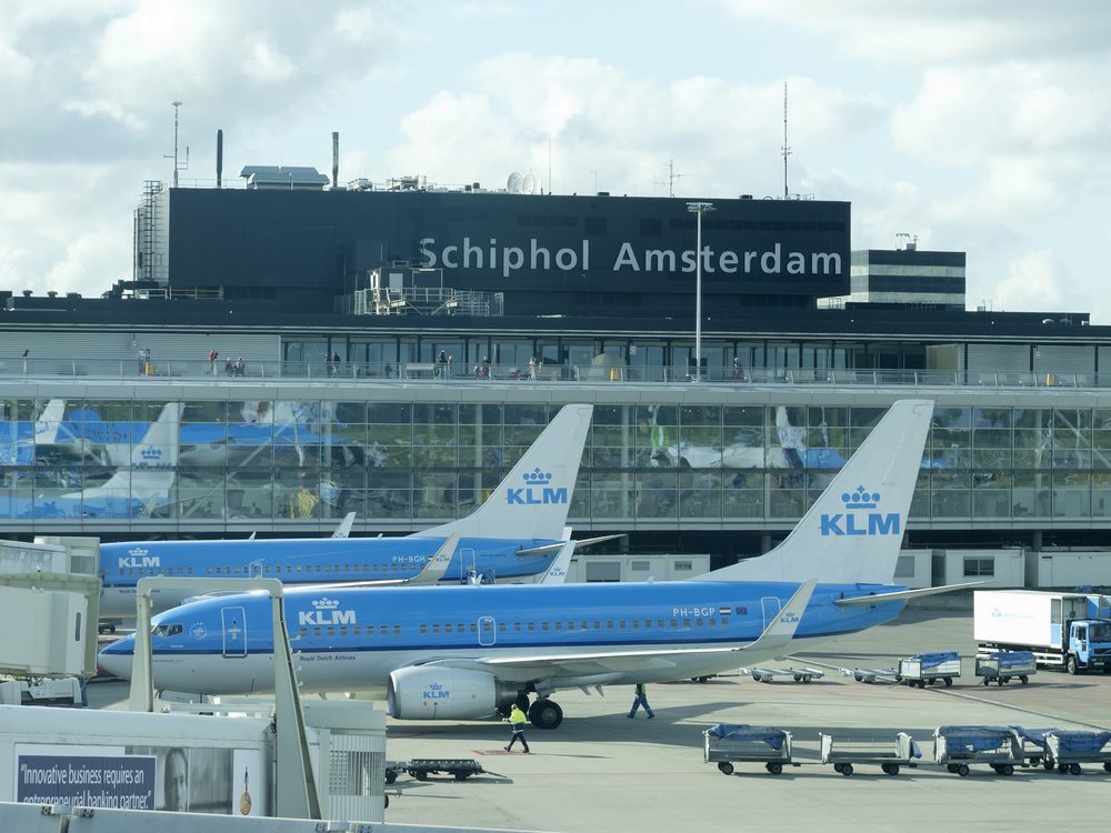 מטוסי KLM בנמל סכיפהול